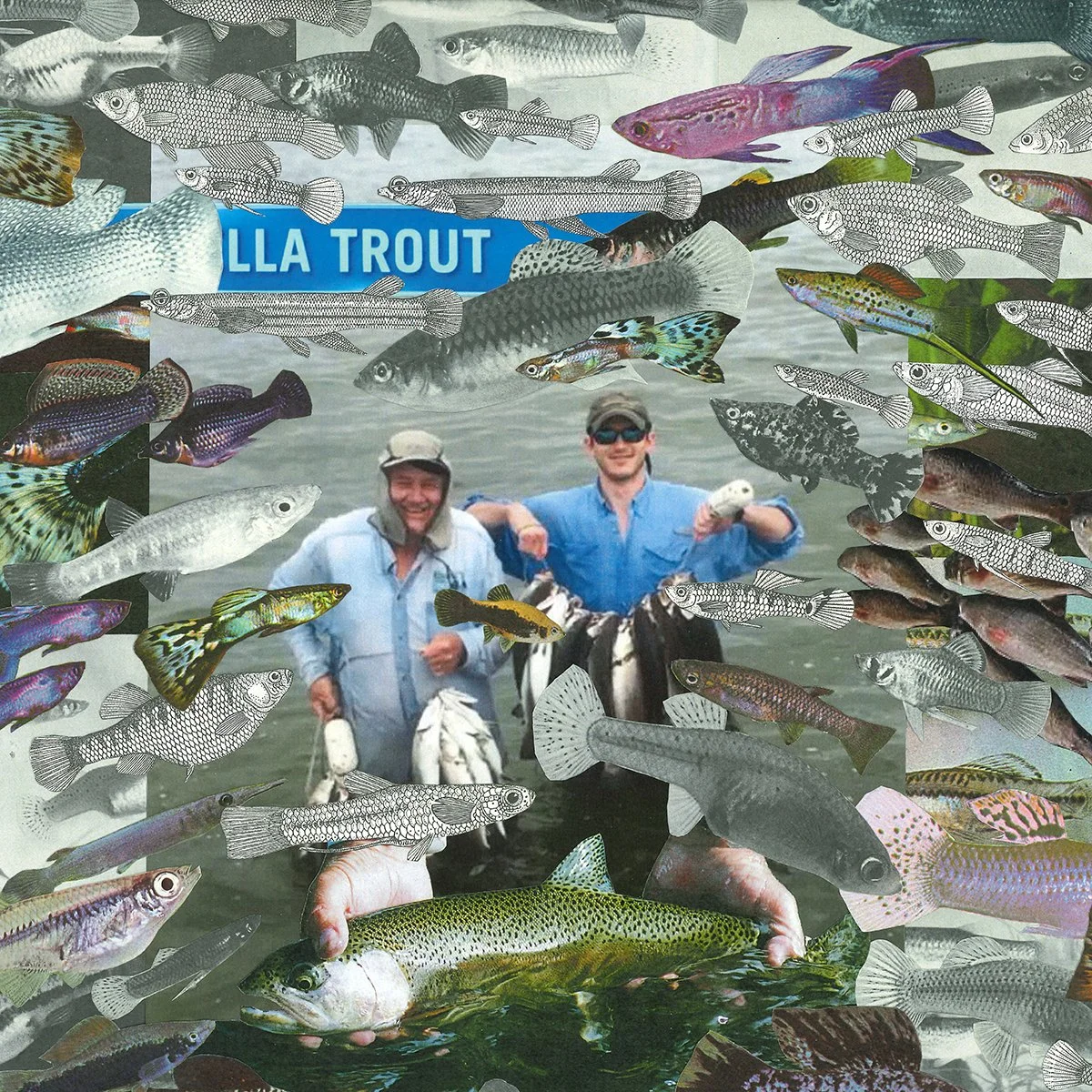 ALL TROUT - 2026