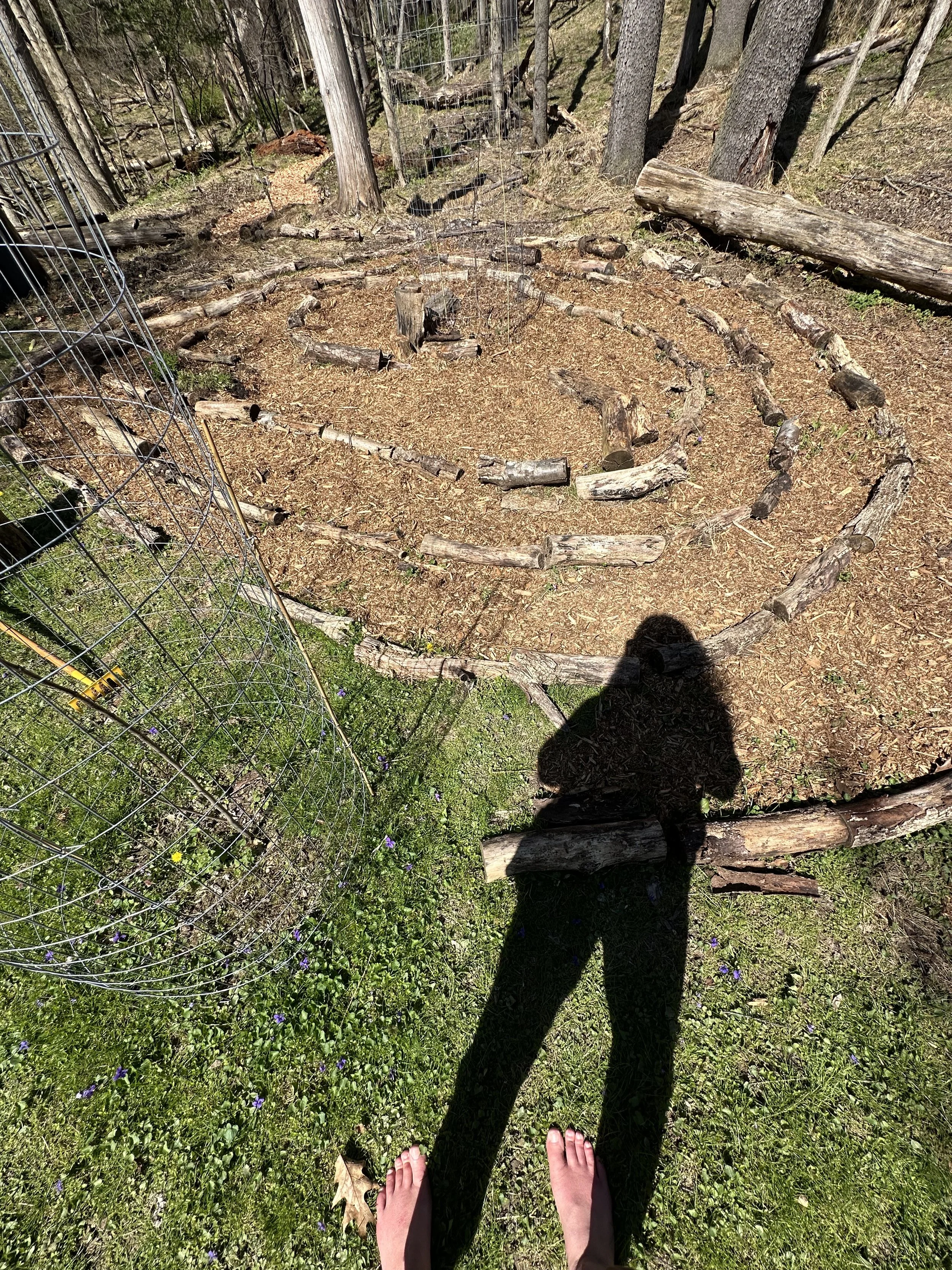 Resetting Your Nervous System With Somatic Practices! 