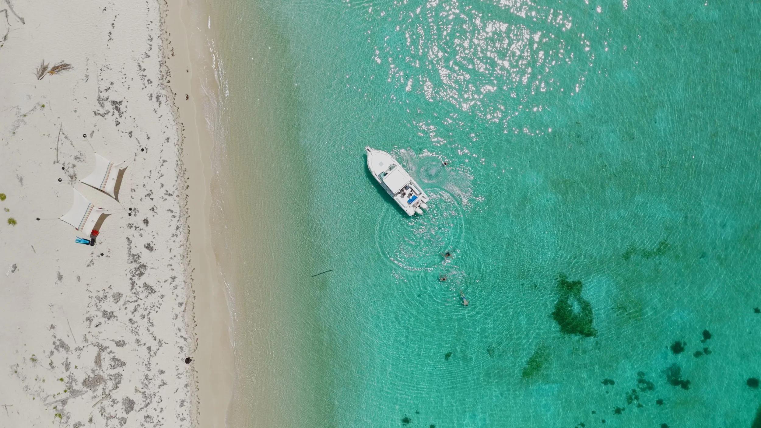 Still 2025-10-30 115306_4.26.1.jpg