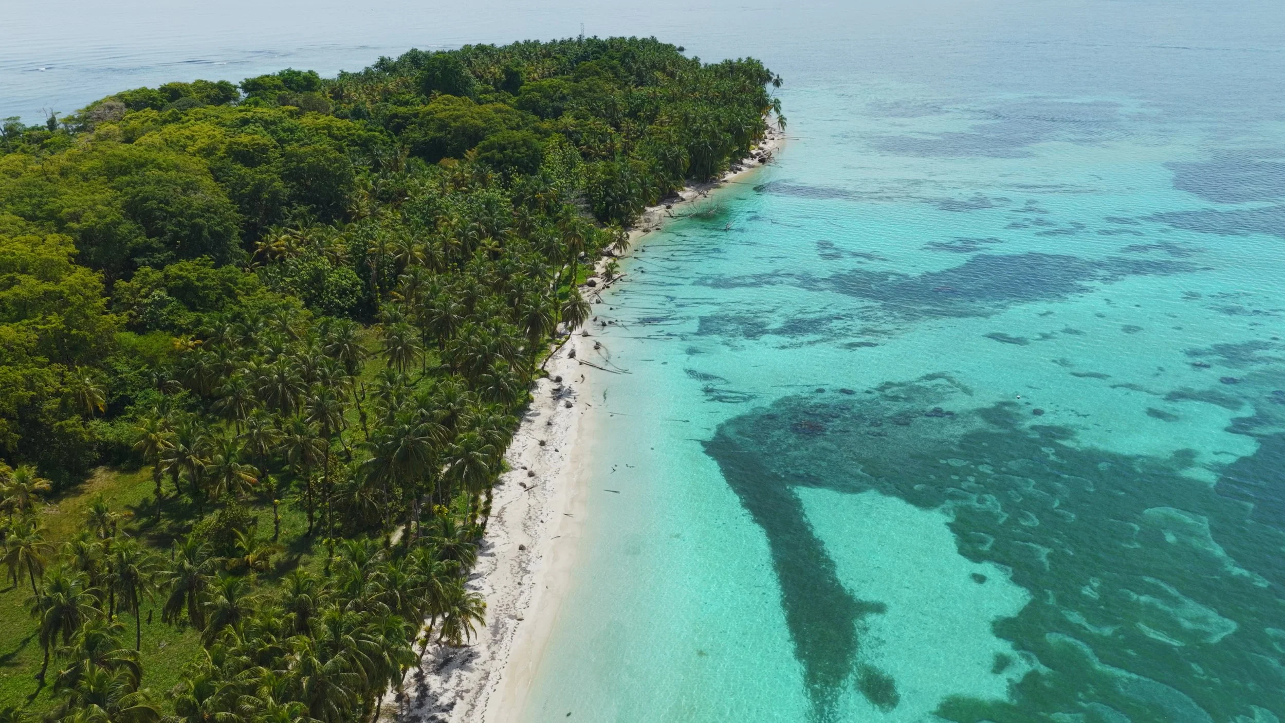 Still 2025-10-30 115306_4.22.1.jpg