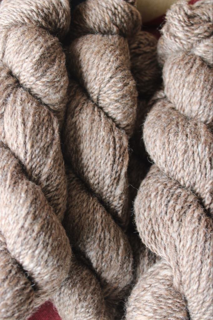 Brown bfl.jpeg