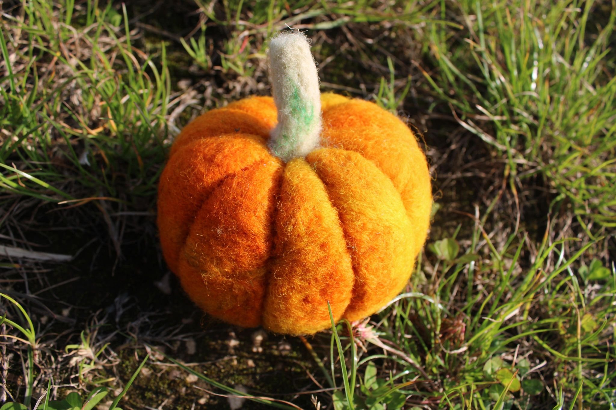 pumpkin canon 1.jpg