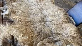 Icelandic Rugs for LARP Reenactment