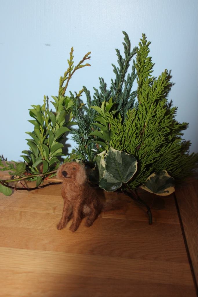 spaniel.jpg