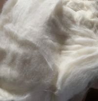 Bargain White