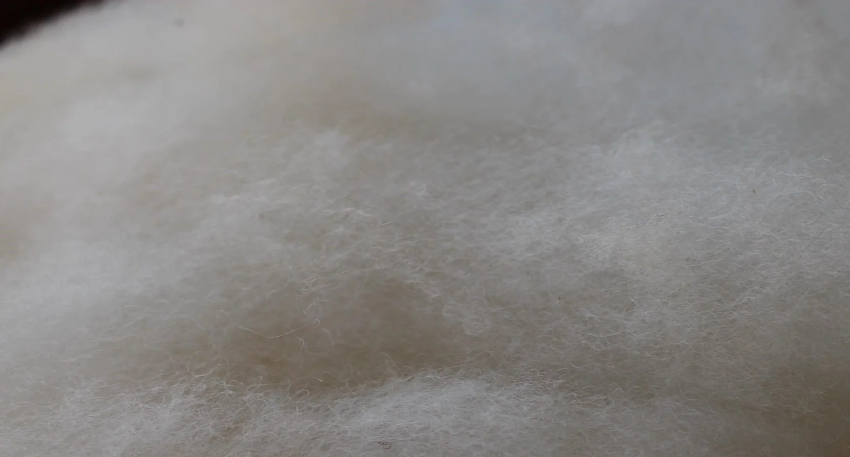 BFL2canon.jpg