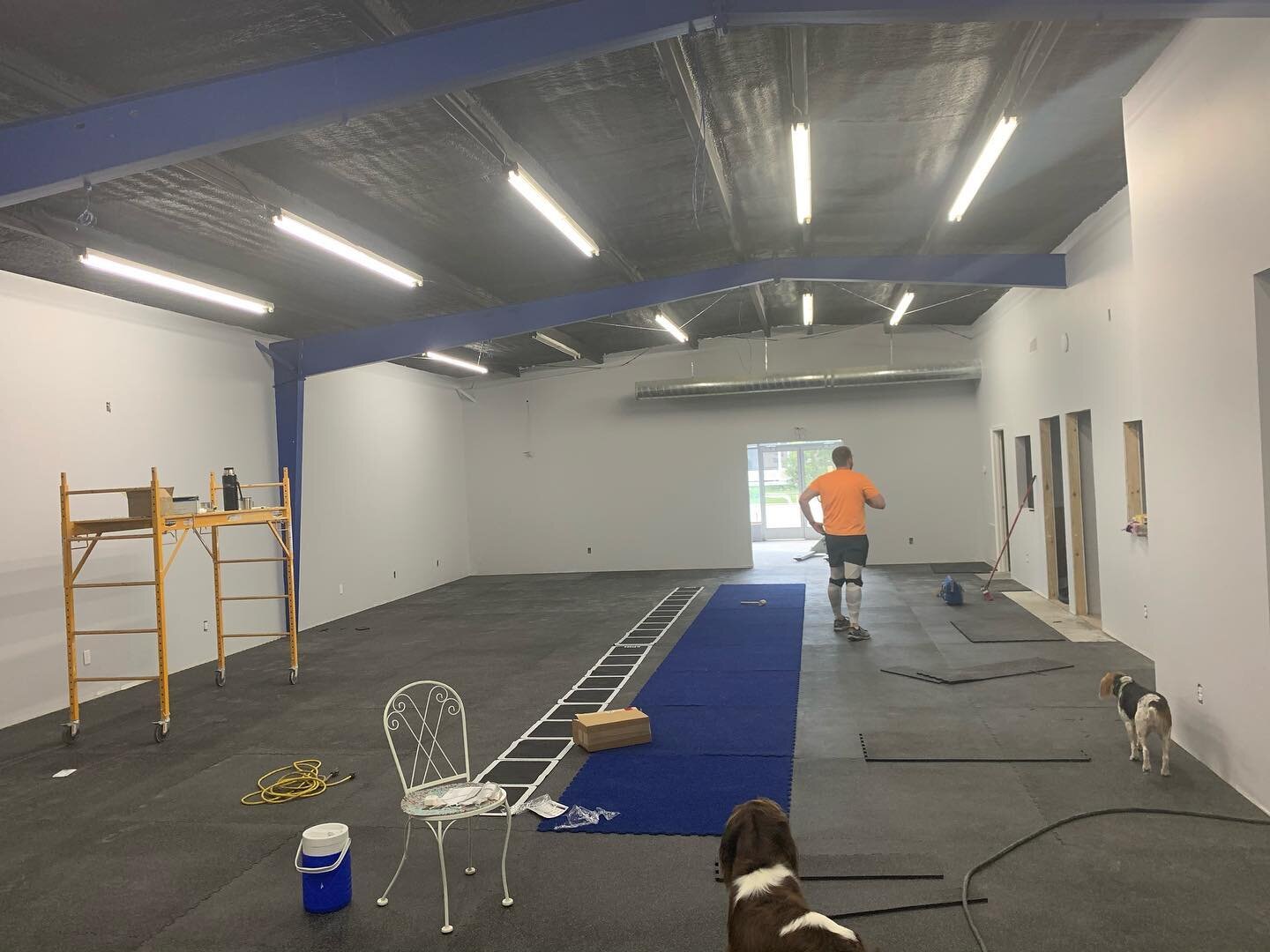 The gym area is starting to take shape! Featuring our cool blue turf lane and agility ladder. 😏💪🏼 #physicaltherapy #sportsphysicaltherapy #turf #agilitytraining