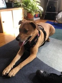 65204591662__5AD9EB34-6285-4E92-88E7-29A8B383D7EA Small.jpeg