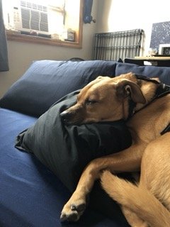 65185241845__9CB21876-77A0-4E00-96DC-082D050360E3 Small.jpeg