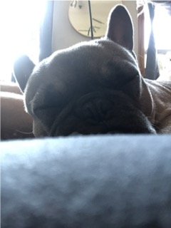 65263266516__455EB1E2-7E8C-449A-B71A-5D4ADFF3DB1A Small.jpeg