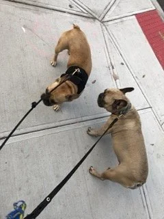 65352286656__D4A2CF20-A012-44FD-8BC1-320D3B1177CD Small.jpeg