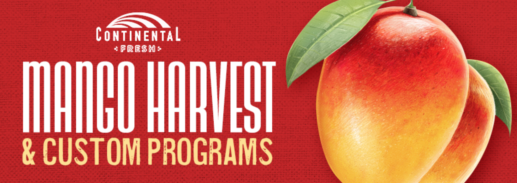 Continental Fresh Mango Harvest & Custom Fruit Import Programs