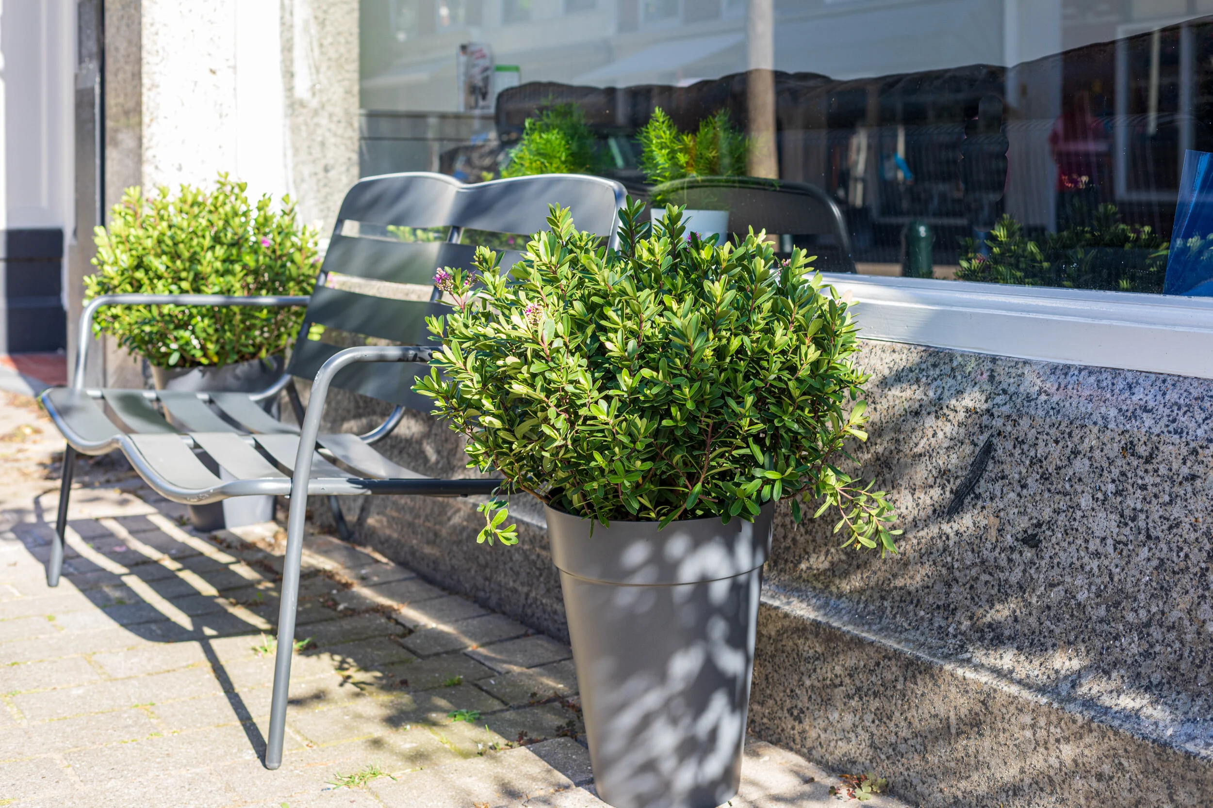 Mini Hotel Floris IV � Piet Heinstraat Den Haag-26.jpg