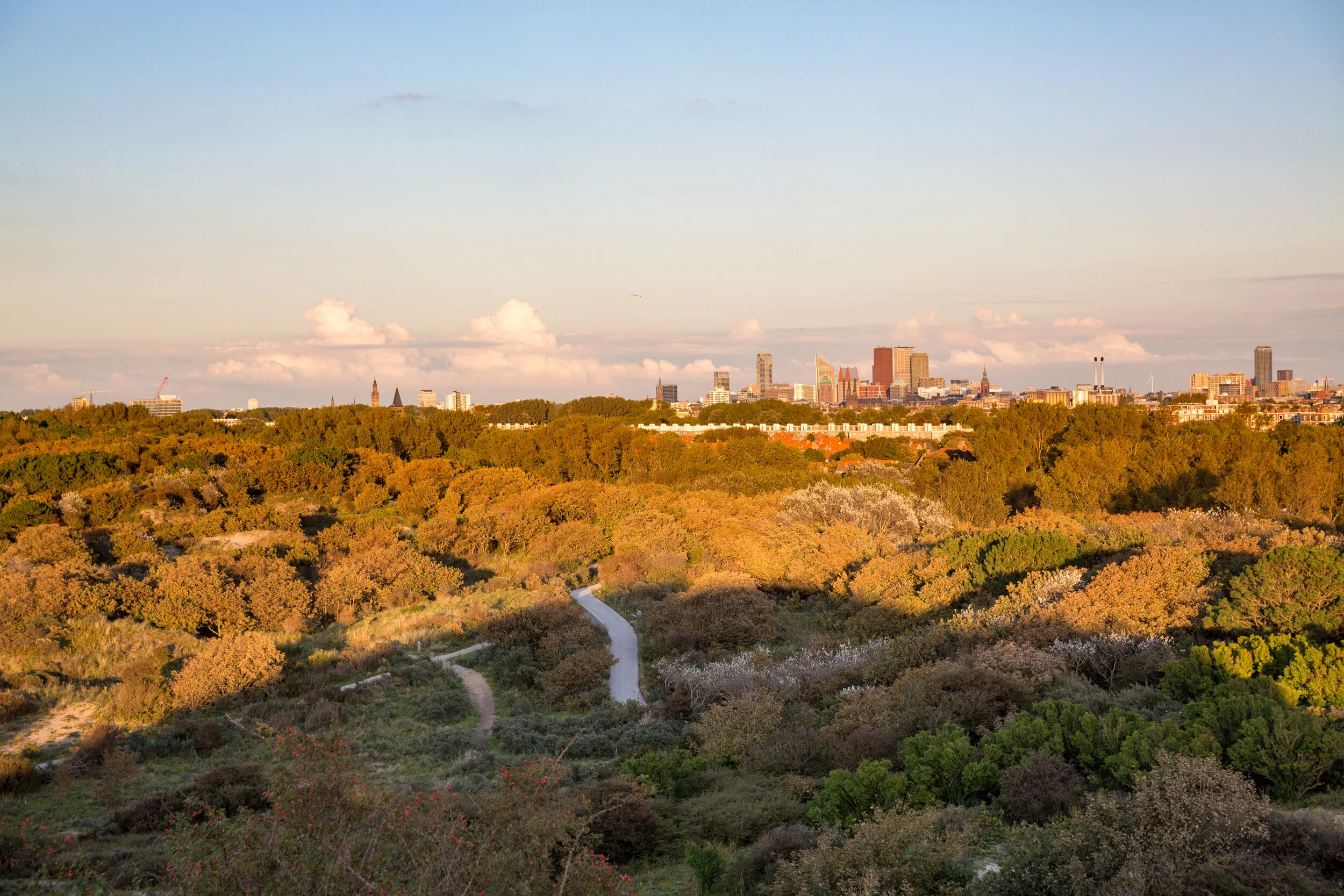 Duinen met zicht op Den Haag.jpg