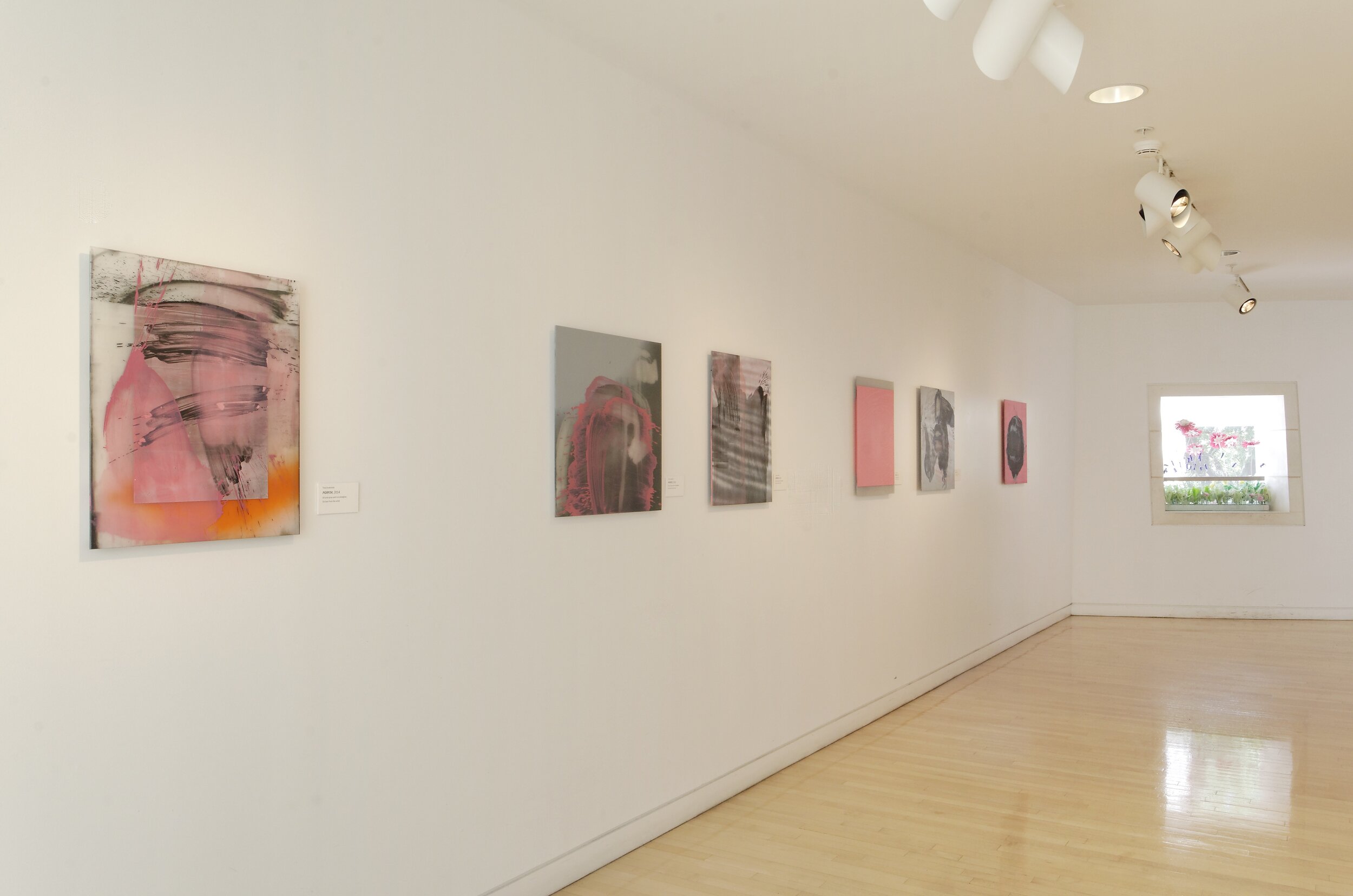 Brief Paintings at Jepson Center - Contemporary Art Museum, 2014