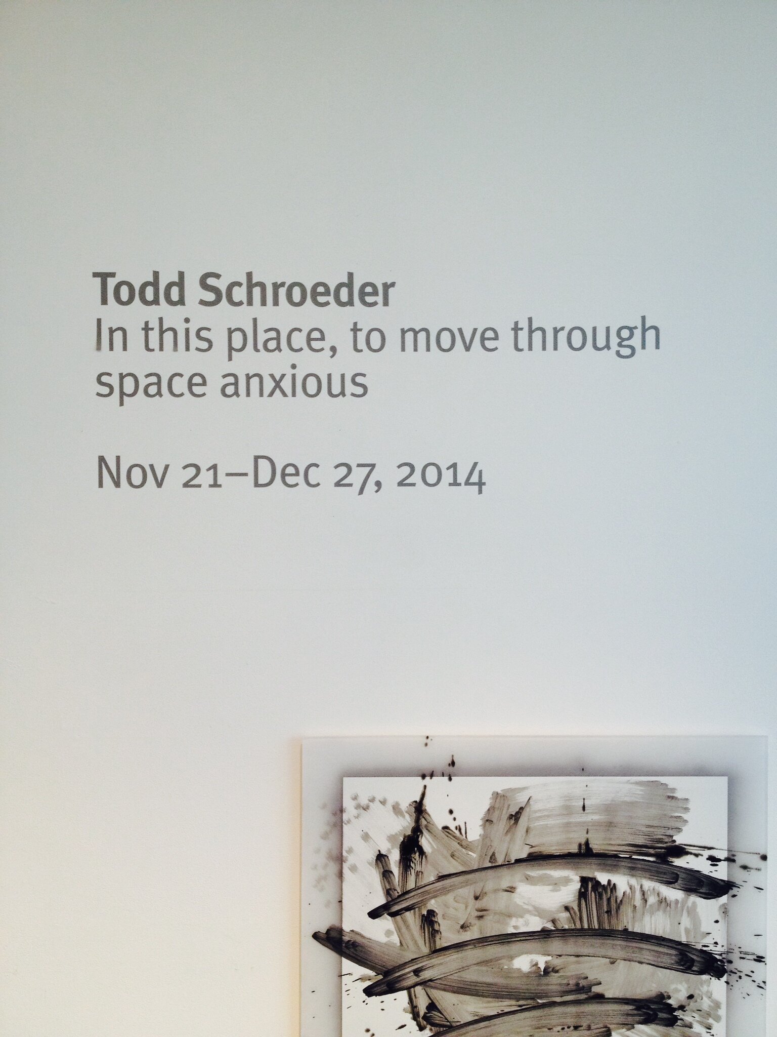  Todd Schroeder: In this place, to move through space anxious 