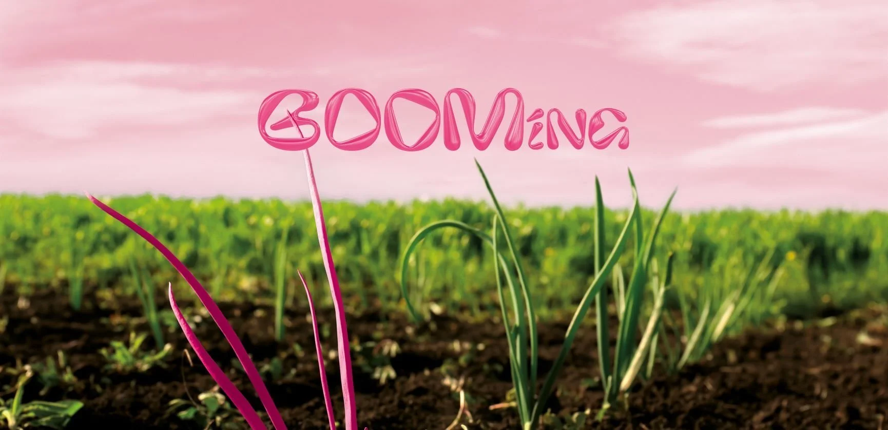 BOOMING+V.1.jpg_light.jpg