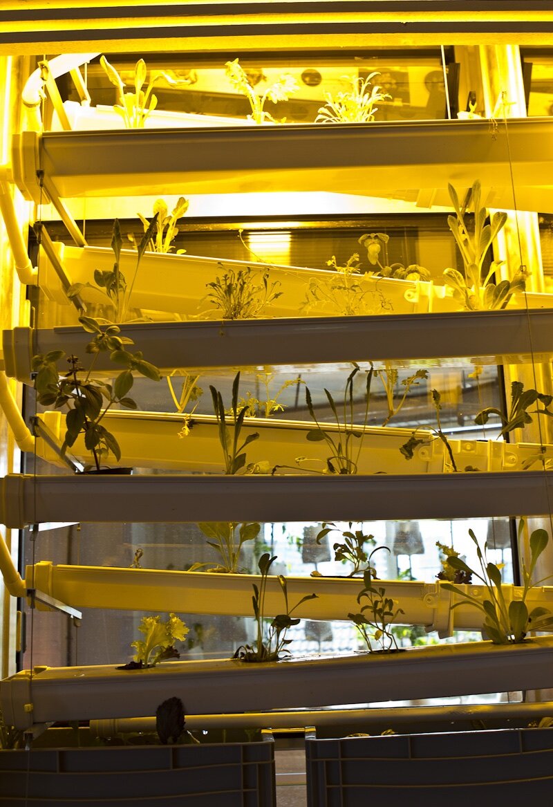 Biospheric_Project_19-07-13_Karen Morecroft-5290.jpg