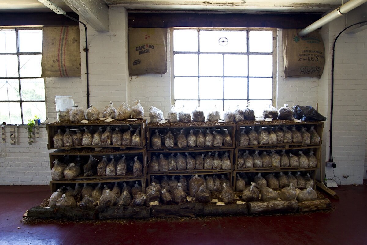 Biospheric_Project_19-07-13_Karen Morecroft-5207.jpg