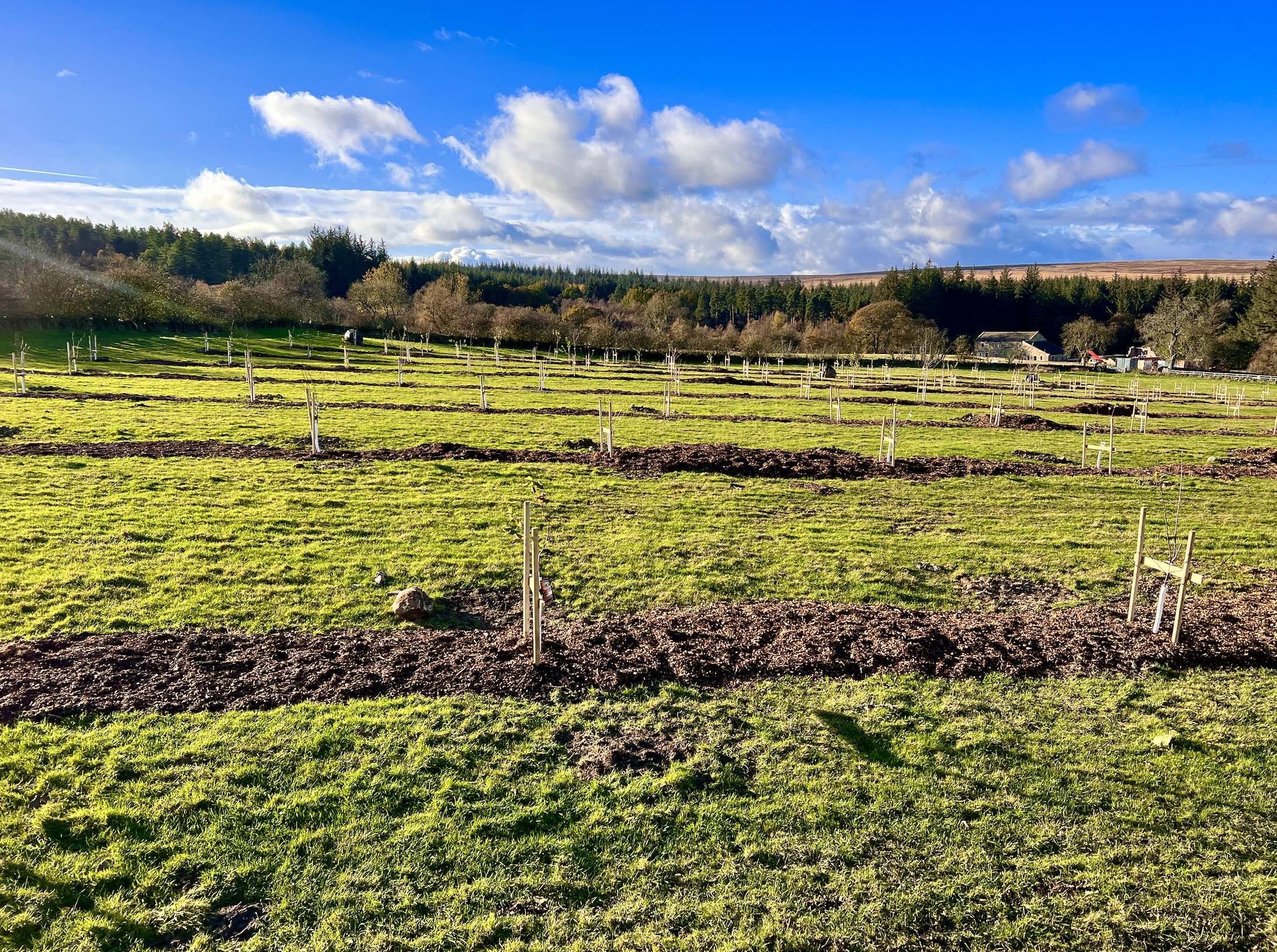 0003farm3.jpg