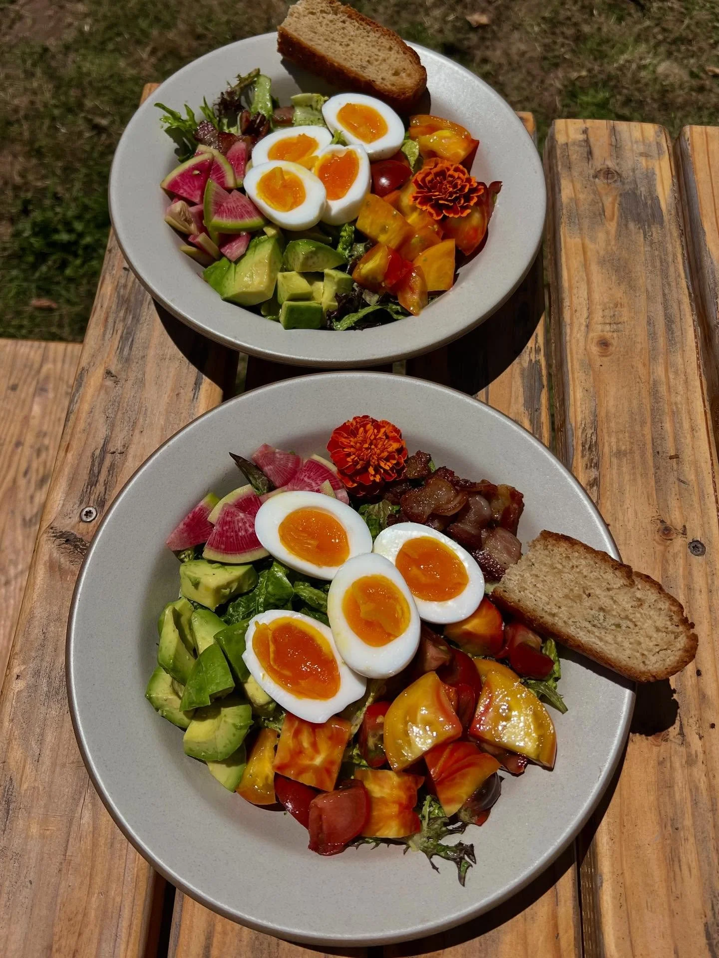 Summer moved like honey… slow, golden, sweet. My low capacity gave way to days of deep presence: naps in the sun, juicy blackberries, roasted fig ice cream sandwiches, BLATS, seasonal meals prepared simply. 
& amid the stillness, the Quee