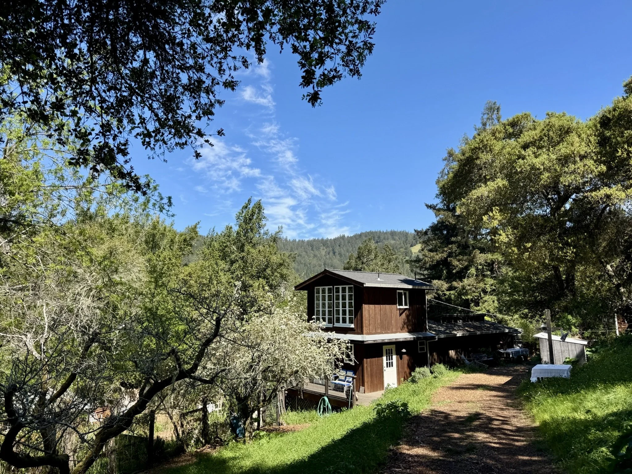 Summer Solstice Gathering: Kitchen Herbalism