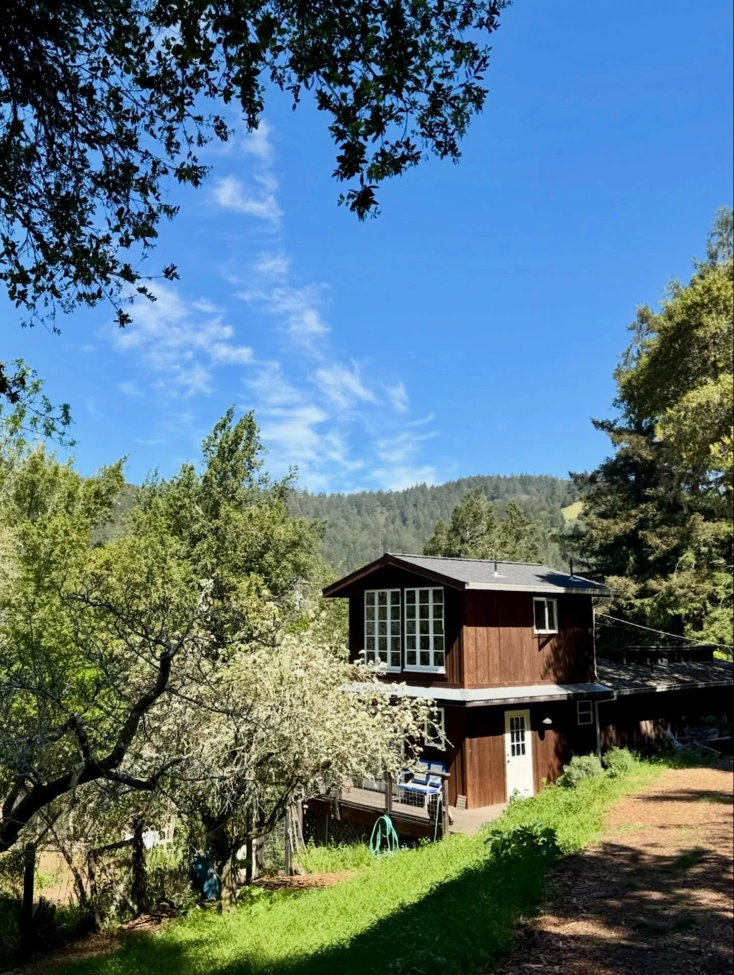 a soft place to land 🌼 spring equinox retreat 

a day devoted to deep rest, connection to the earth &amp; community, empress nourishment, beauty, attunement, hawthorn flower essence, poems, and seasonal magic ✨

#womensretreat #springequinox #magic