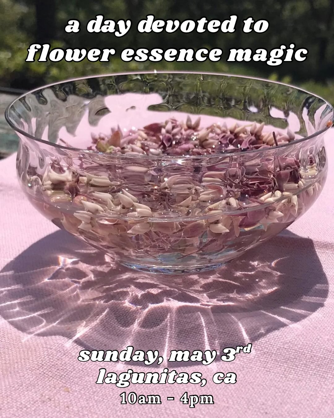 Come gather around the essence bowl! 🌼

a day devoted to flower essences - what they are, how to work with them, and even craft your own! 

+
seasonal celebrations &amp; rituals woven in 
a springy tea party 
time to rest &amp; intentionally slow do