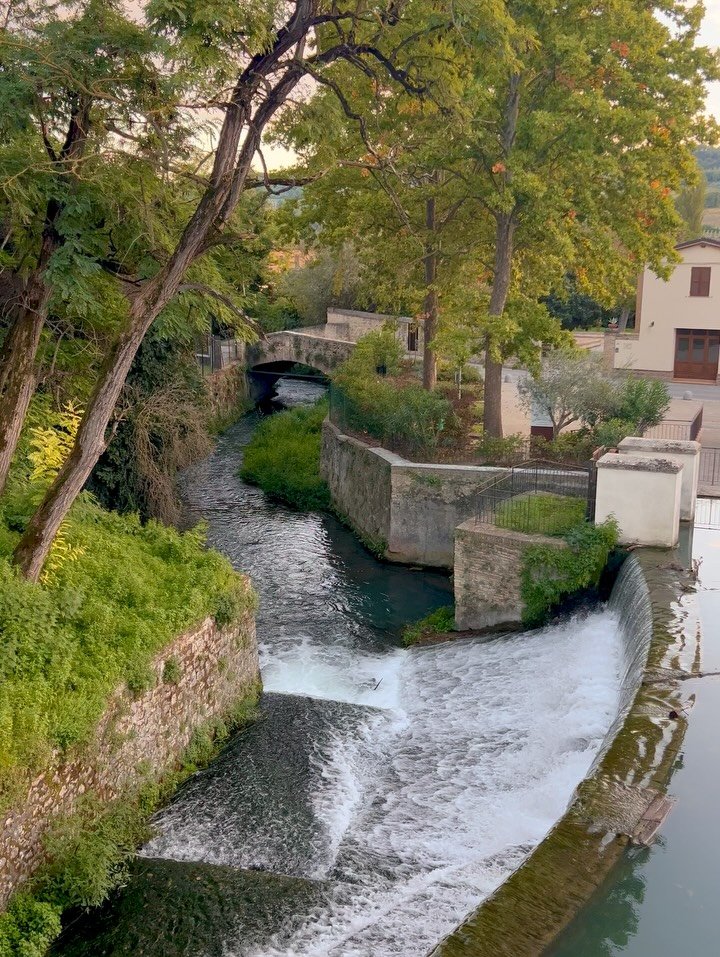 Ottobre in Italia 🇮🇹 

Italy has been occupying 98.9% of my brain space as I dream and plan out our next trip + some very exciting announcements coming soon ✨

Until then&hellip;our delicious &amp; magical trip from last October 
🍝🤲✨

#zucca #har