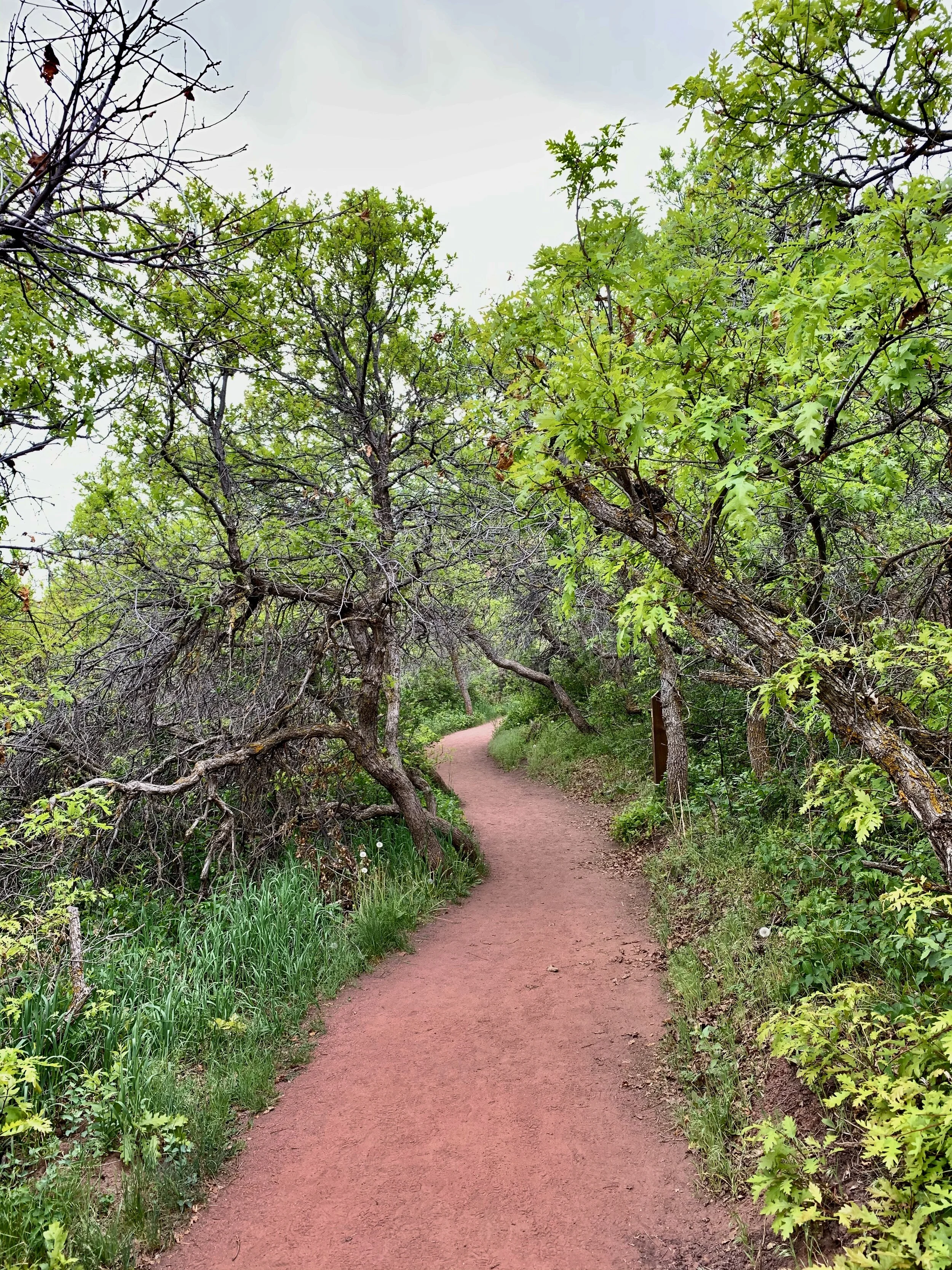 Why would anyone start a business in the middle of a pandemic?!?!