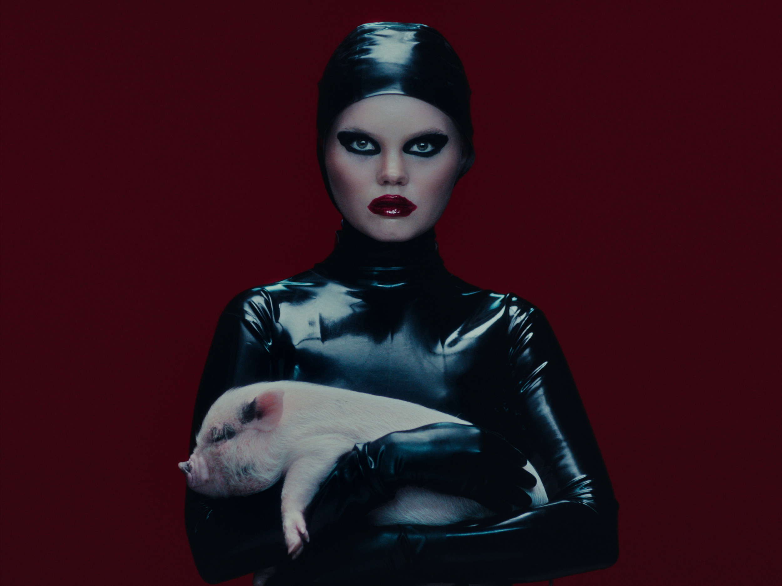 YouTube Screenshot 12.png