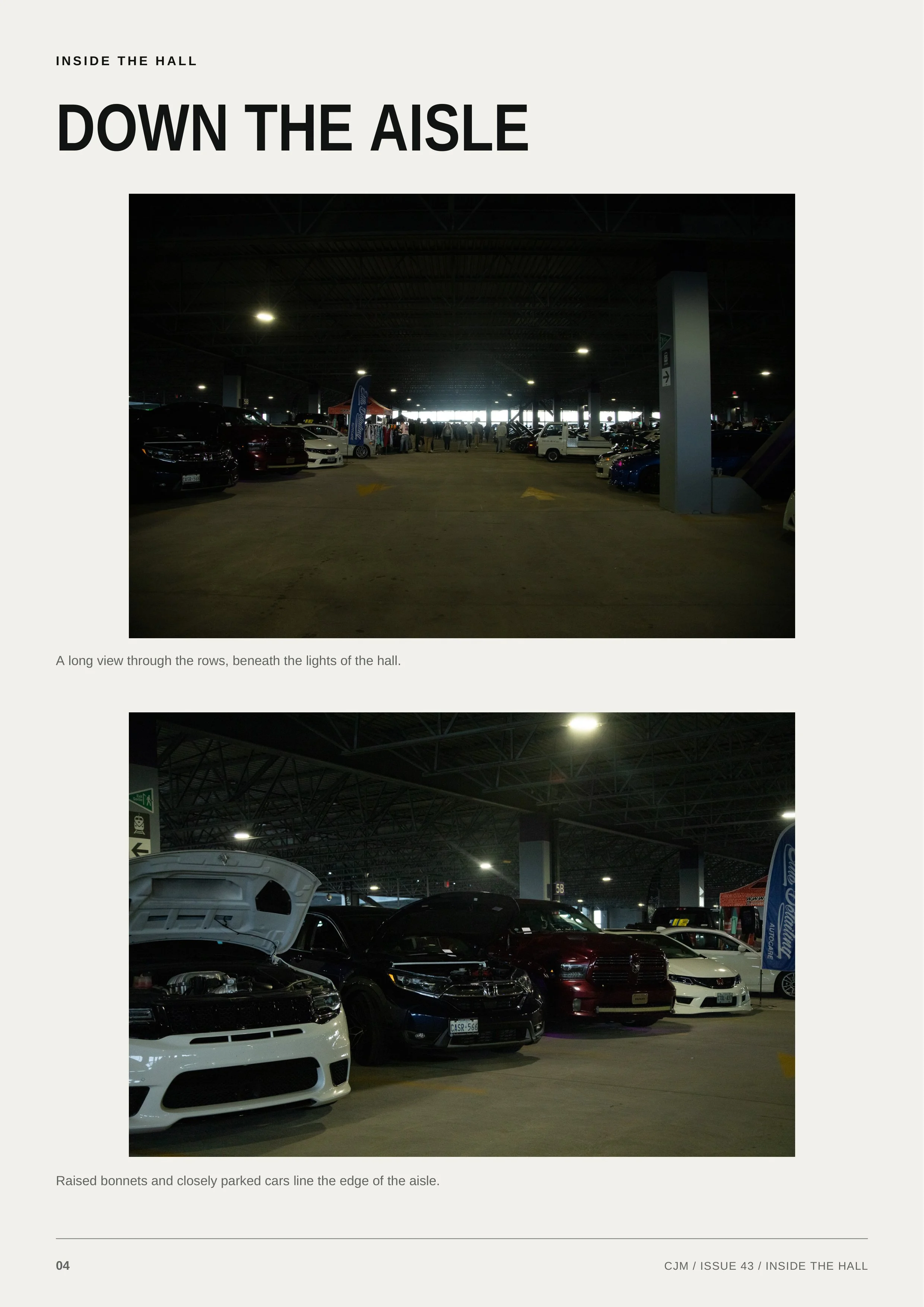 Concrete_Jungle_Issue_43_Page_04.jpg