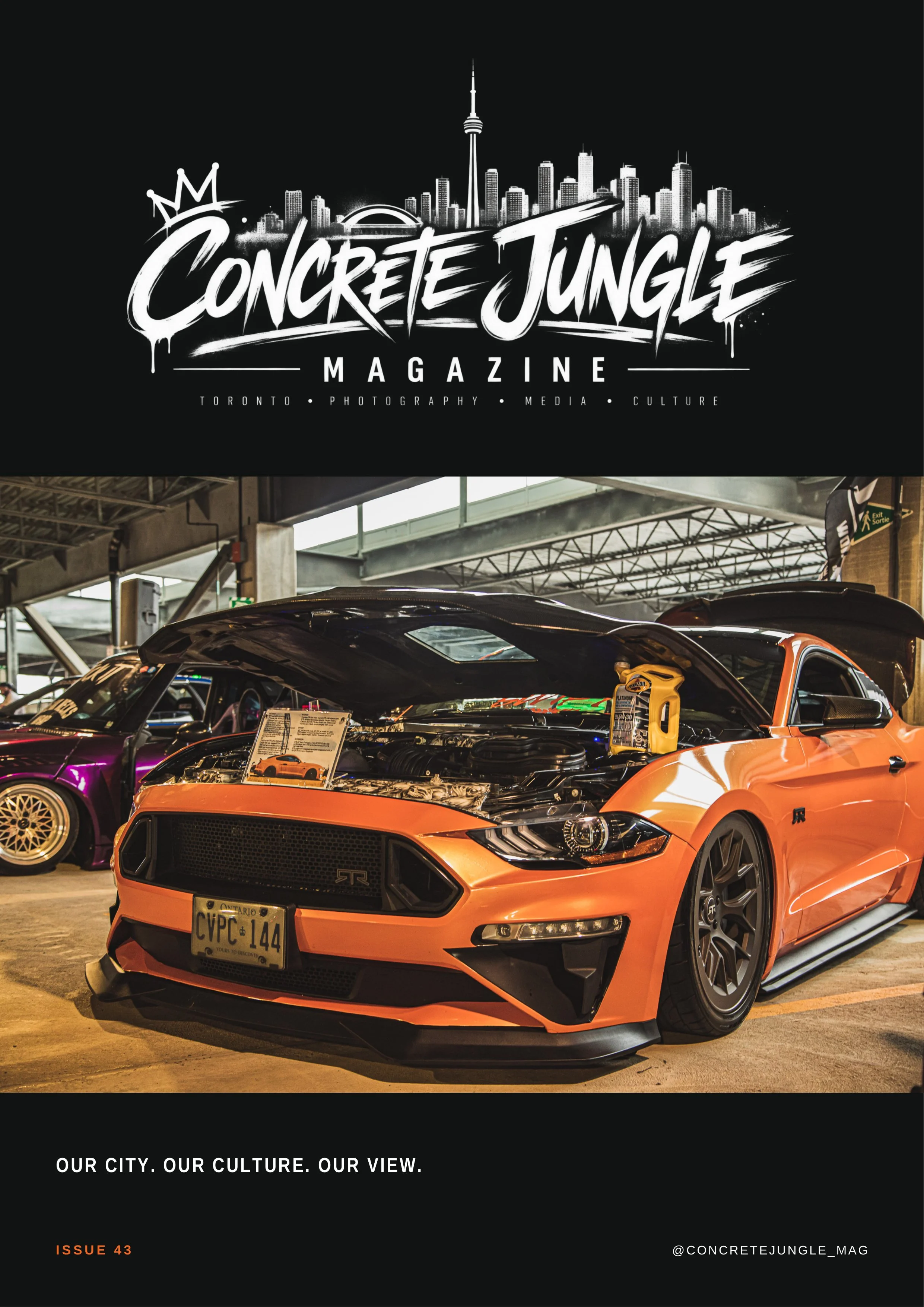 Concrete_Jungle_Issue_43_Page_36.jpg