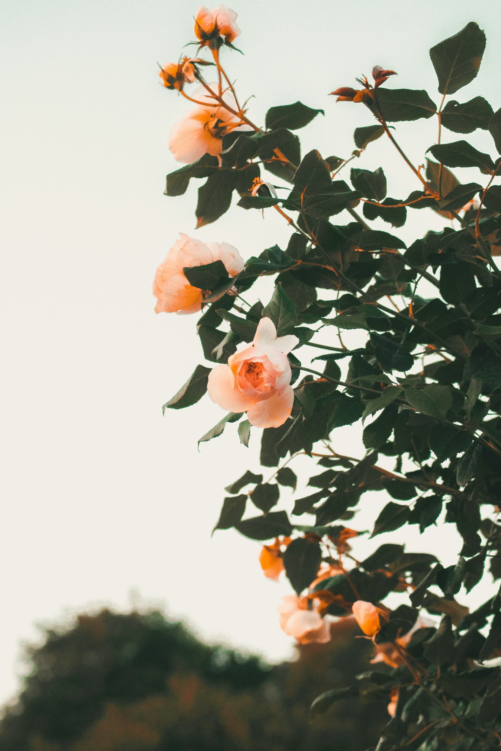 unsplash-image-xhYwOdoJ9K8.jpg