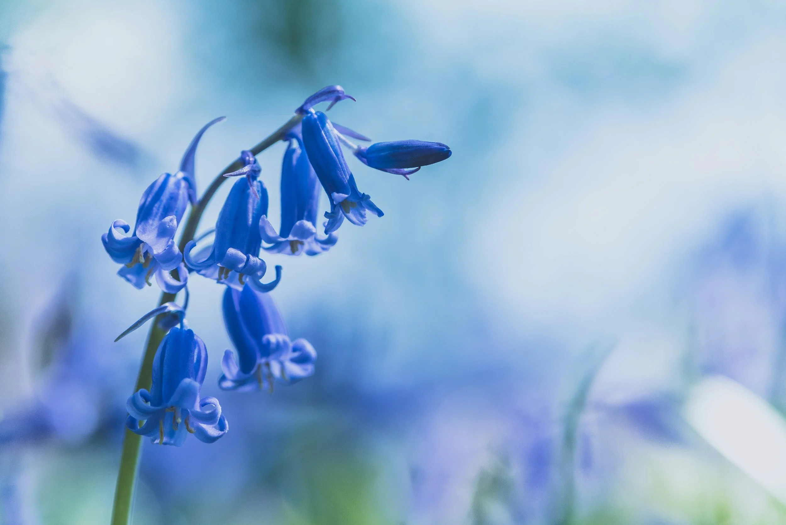 unsplash-image-ikgmBELD7PQ.jpg