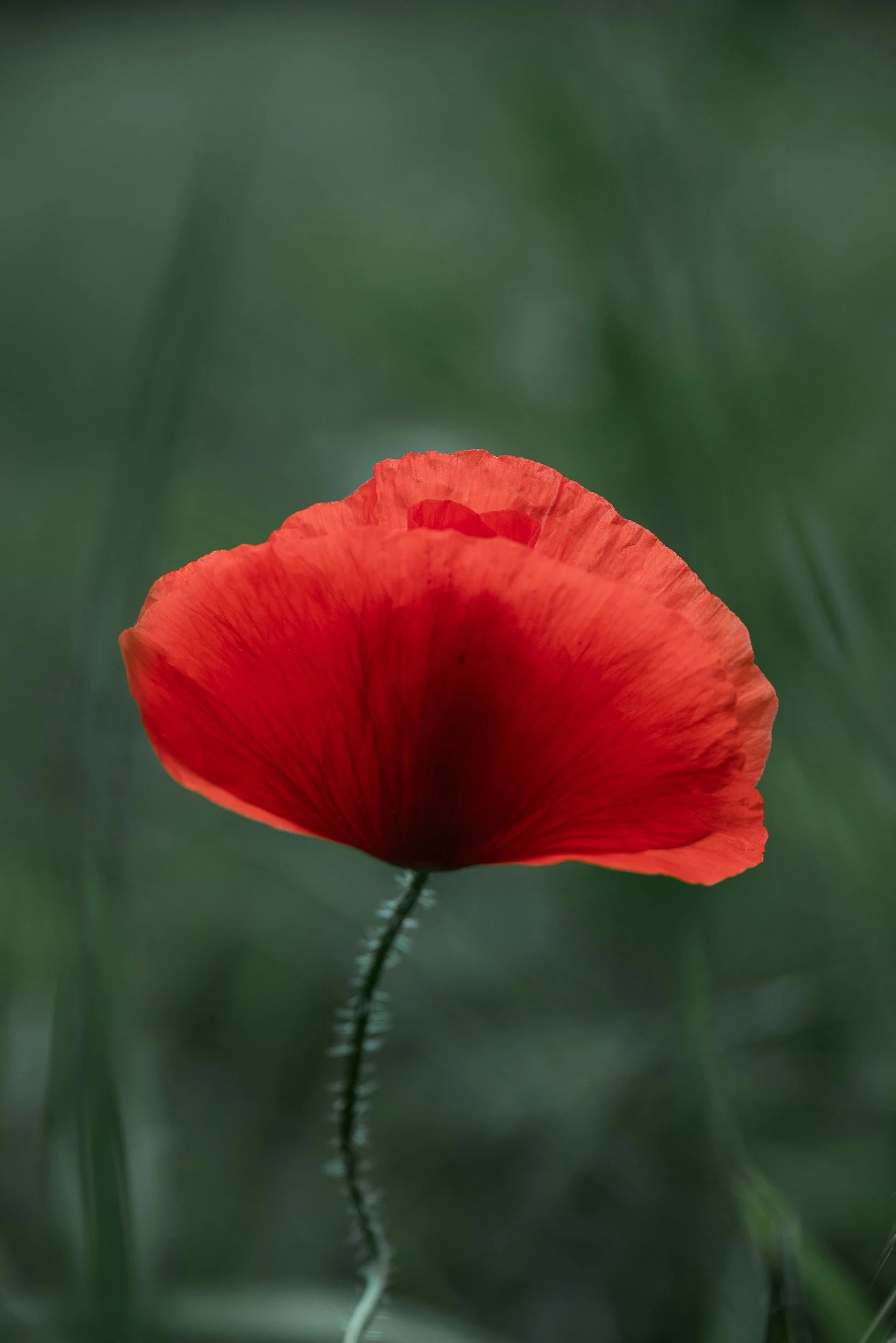 unsplash-image-slPC4ZUmC1E.jpg