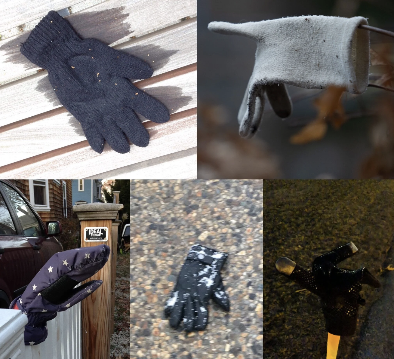 Lonely Glove Socialization