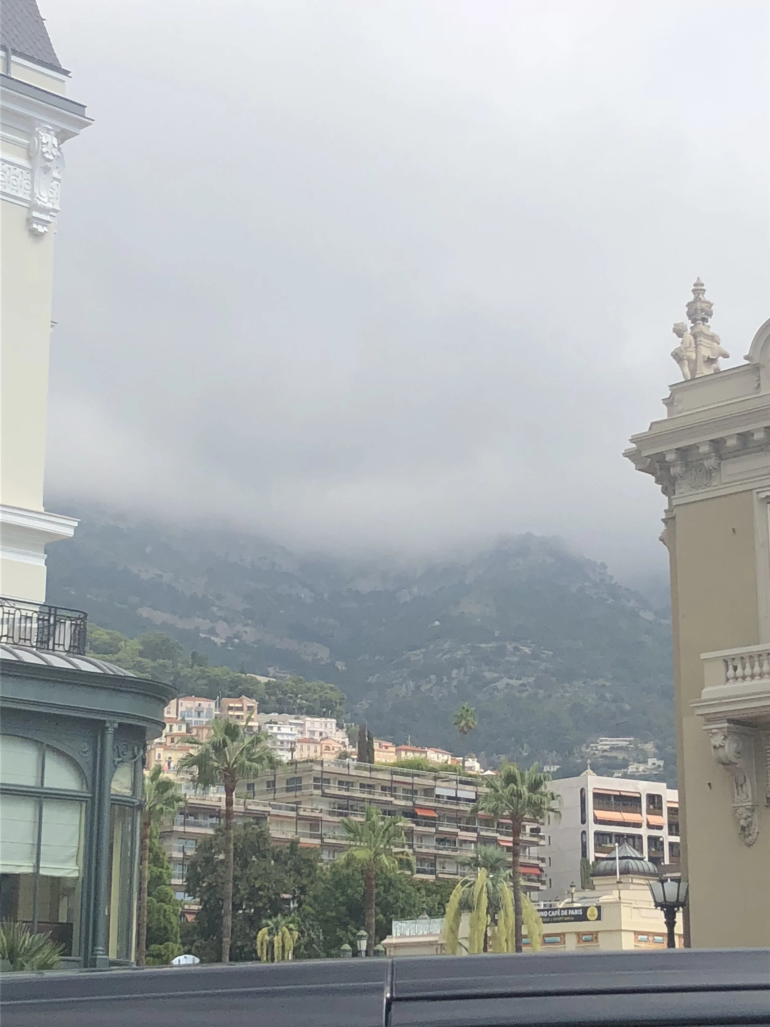 IMG_5203.jpeg