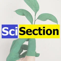 Meet Dr. Arinjay Banerjee