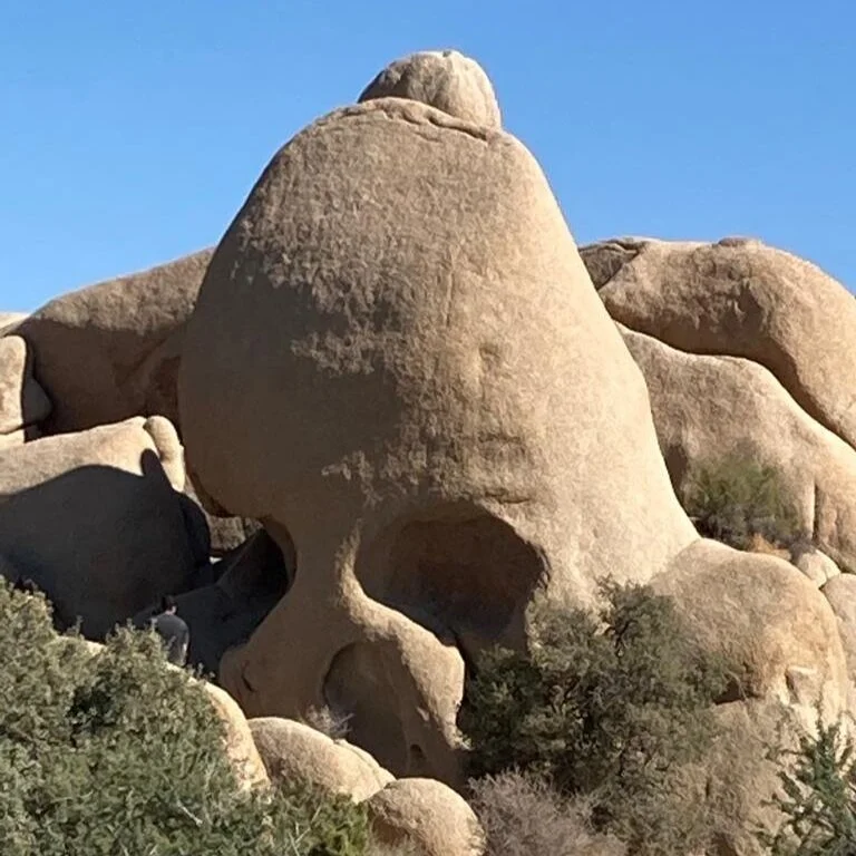 Joshua Tree National Park