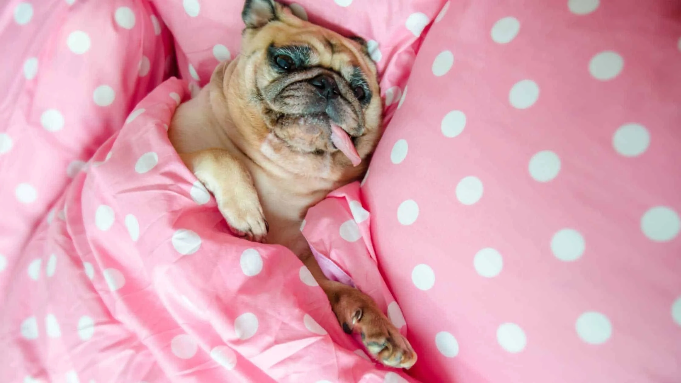 Does Sleep Hygiene Cure Insomnia? The Truth About Sleep Hygiene As An Insomnia Treatment