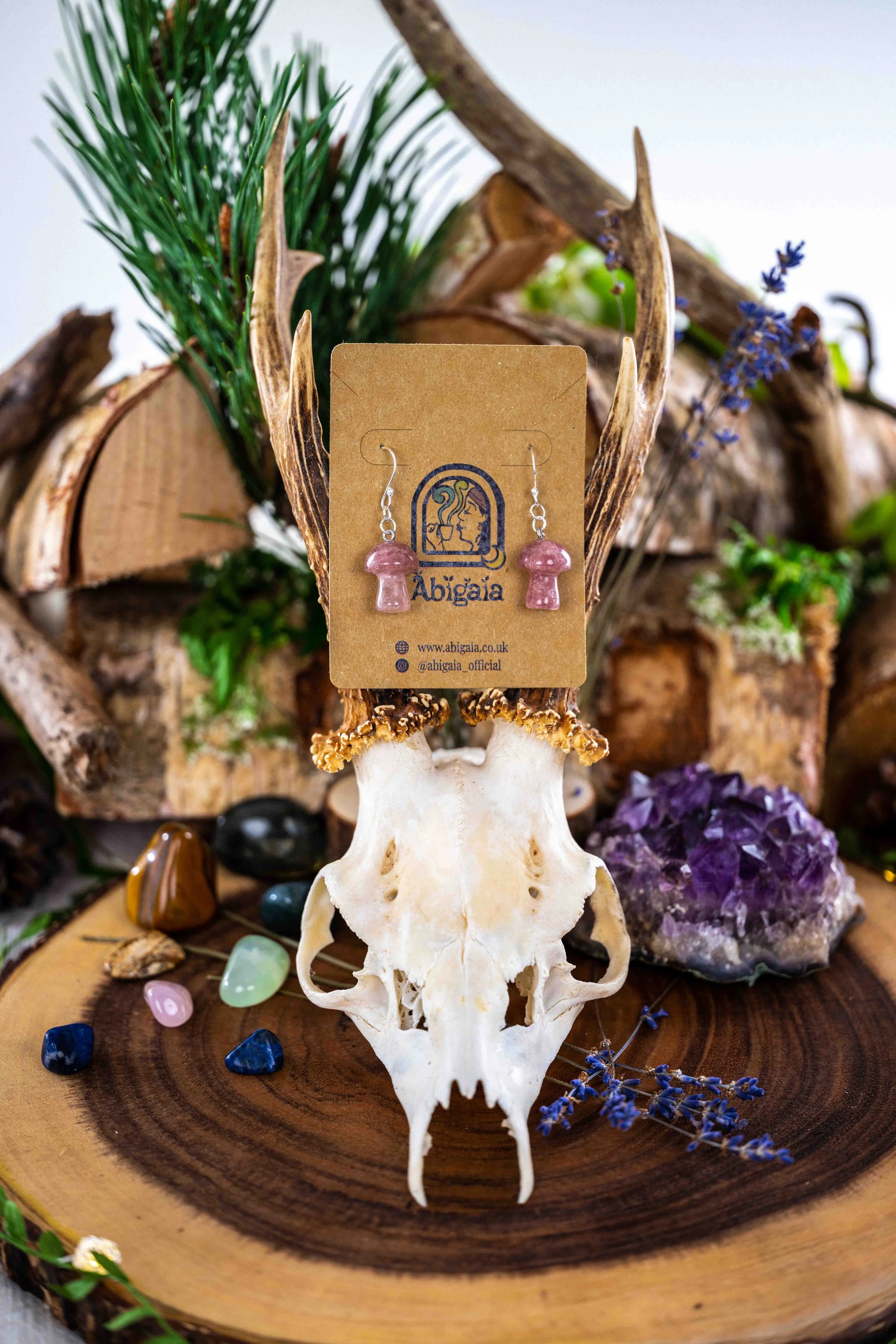 Img0049 _ FULL RES _ EDITED _ 20049 _ WEB RES _ EDITED _ 4120049.jpg