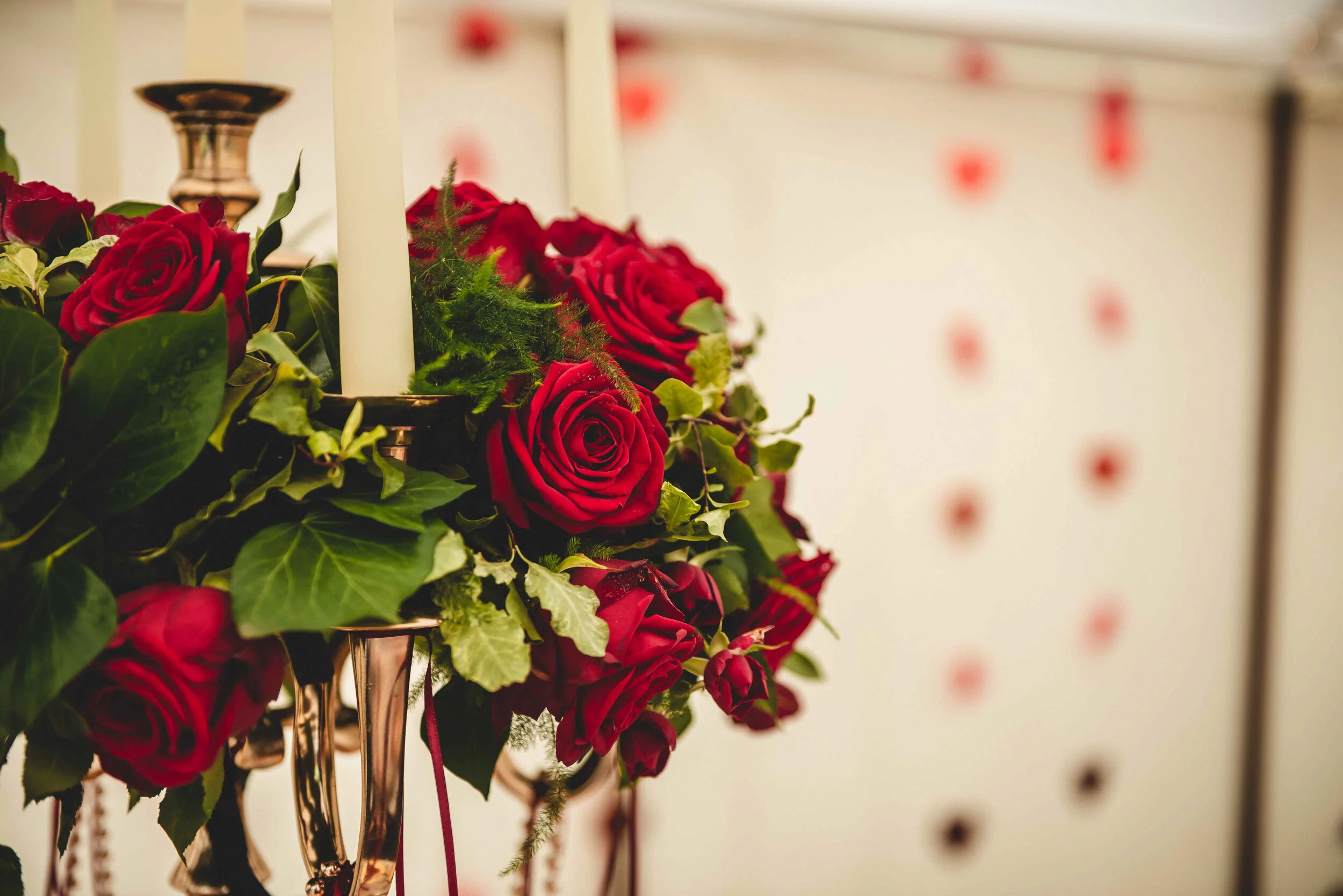 WEB _ EDITS _ TEMP _ _DSC8474 _ 20190601 _ 20190601.JPG