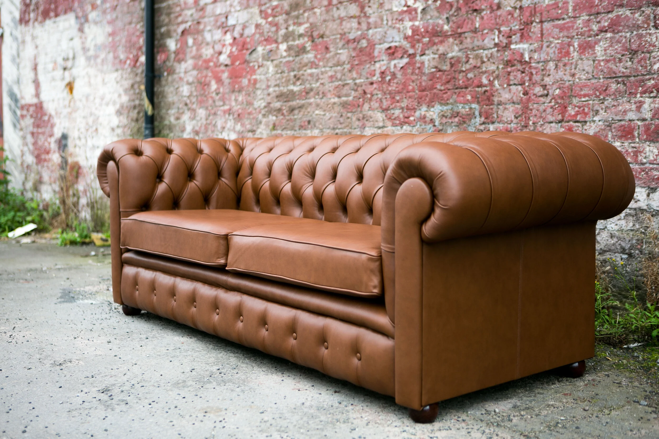 WEB _ EDITS _ 4S8A1227 _ 20170205.JPG