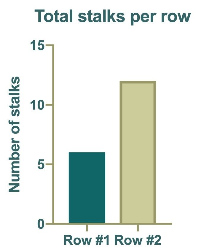 Stalks+per+Row.jpg
