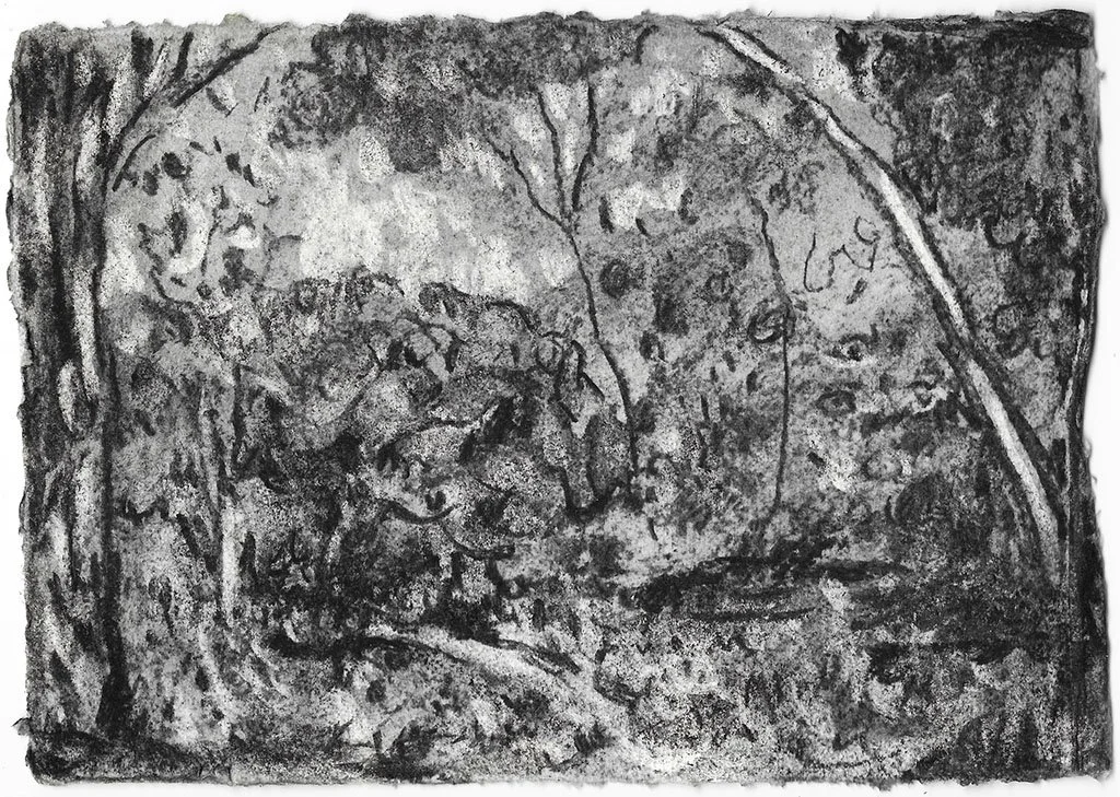 Scrubland (beckon), 2026, 21 x 15 cm, Charcoal on primed khadi paper