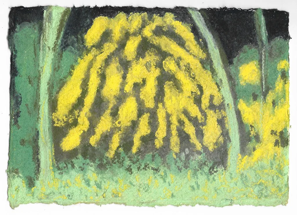 Shrub (yellow fingers), 2026, Soft pastel on khadi paper, 21 x 15 cm