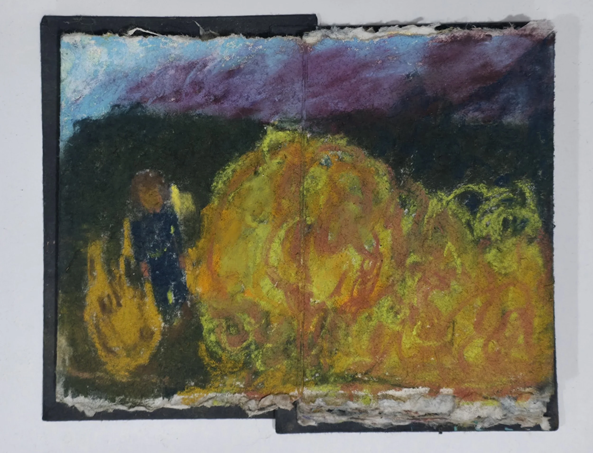 Winter Shrubs, 2026, Mixed media on  recycled paper,  10 x 230 cm (concertina sketchbook fully extended)