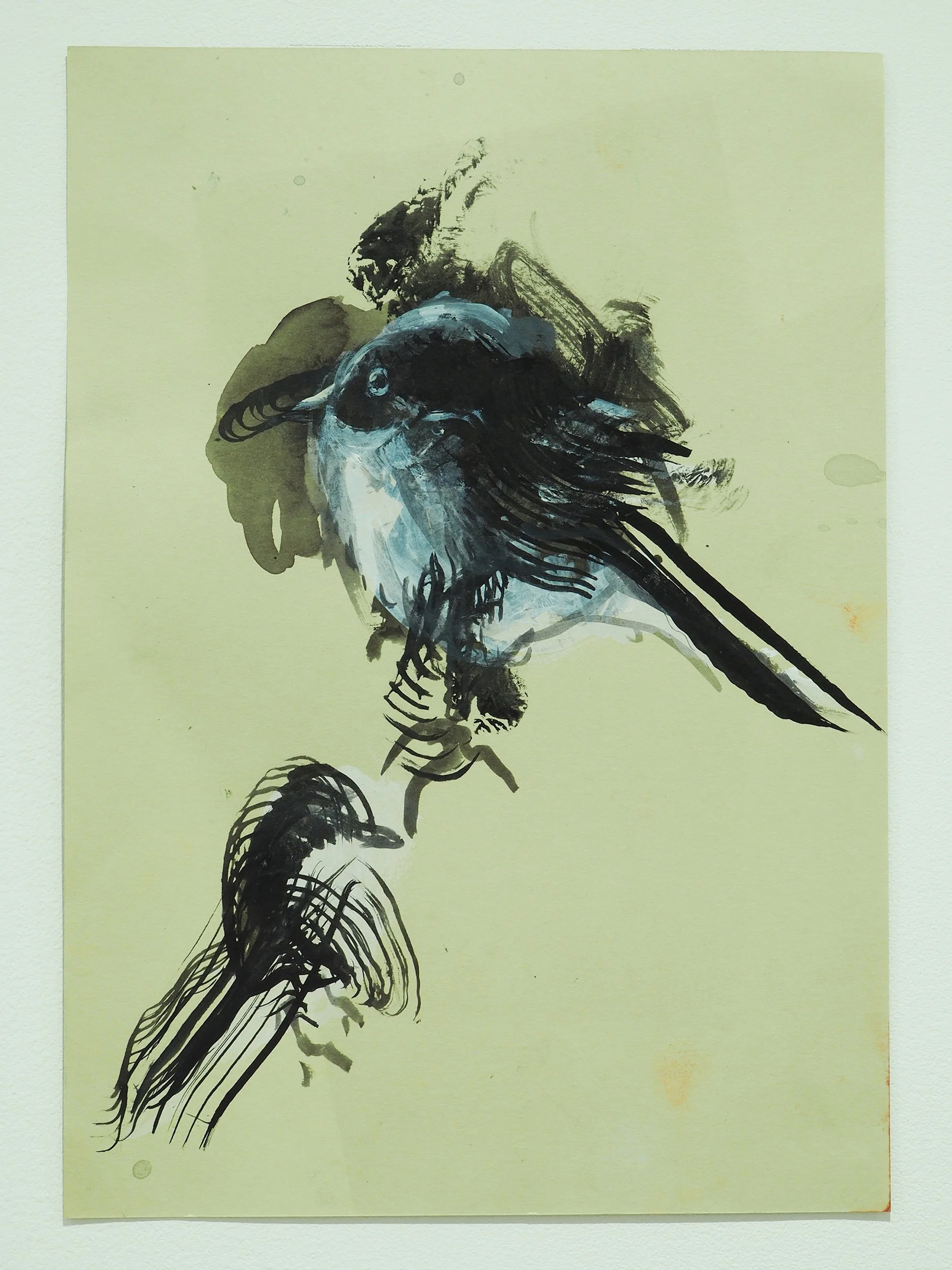 Long Tailed Tits, 2025, Indian ink and acrylic paint on paper, 29.5 x 21 cm
