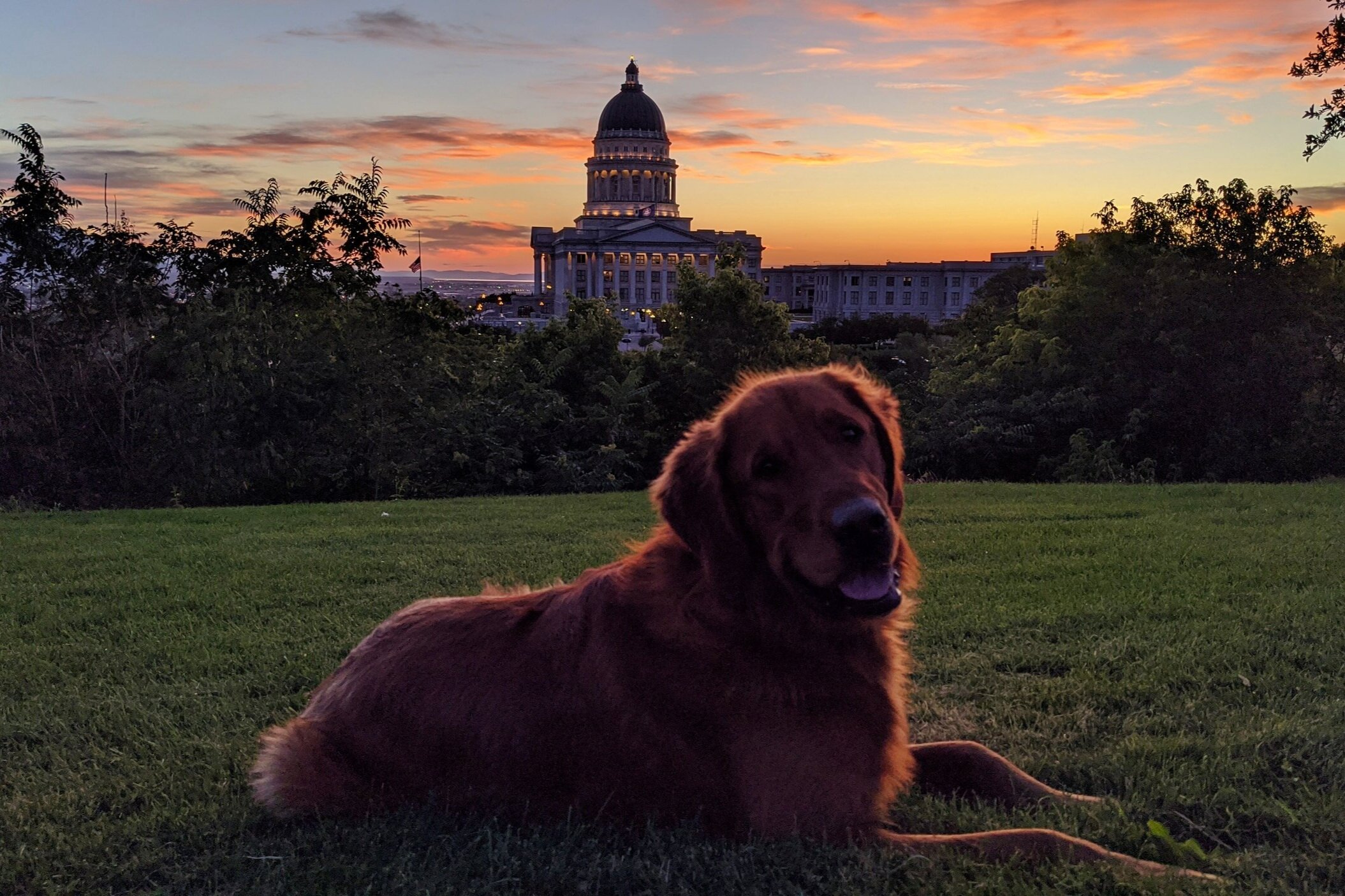 A golden retriever sits silhouetted in front of the Utah State Capitol at sunset